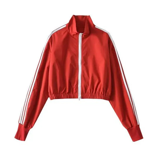 44067487973624|44067488006392|44067488039160|44067488071928