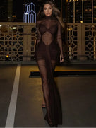 Sheer Mesh Pleated Maxi Dress